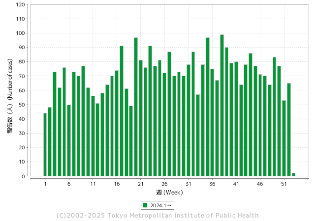 梅毒報告数（週）